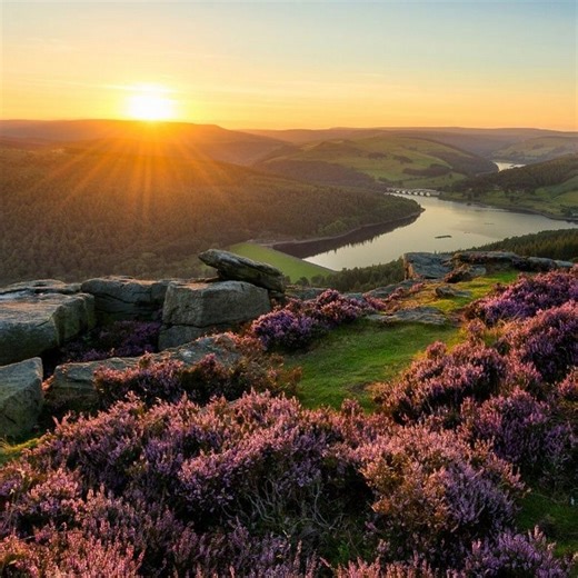 🏔️ BAMFORD EDGE ADVENTURE 🏔️ Join us for an unforgettable day of exploration at Bamford Edge in the Peak District! Hike with us through breathtaking landscapes, breathe in the fresh air, and connect with fellow adventurers—all while raising funds for Palestine 🍉. Event Details: 🗓️ Date: 24.08.2024 ⏰ Pickup from London: 4am | Return: 9pm 📍 Location: Bamford Edge, Peak District (Pickup details disclosed upon registration) 🥾 Duration: 5-6 hours, suitable for all 🧭 Guided hike with mountain l