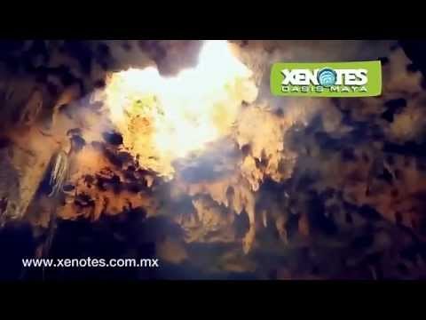 Xenotes: Oasis Maya | Tour de aventura por cenotes naturales en Cancún, México