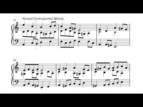 Counterpoint Exercises.