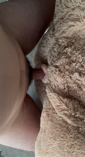 Need a girl to ride my bears face while I fuck it