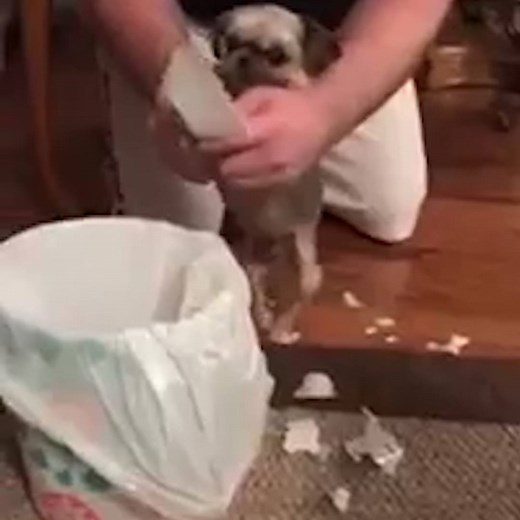 3.3M views · 15K shares | "It's your mess, you can clean it up"  | LADbible | Facebook