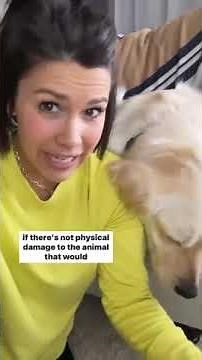 SPAIN DECRIMINALISED BEASTIALITY • SEX WITH DOGS LEGALIZED #NEWWORLDORDER