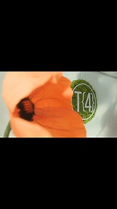  Hey teen girls (grades 6–12)! Join us for There4 Teen Girls...