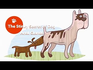 Why Do Dogs Have Anal Glands?