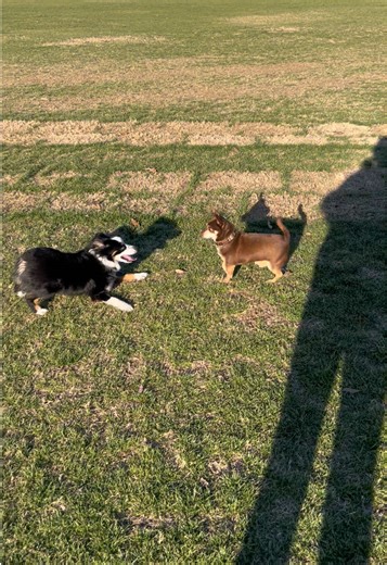 Megan (@megan_masako)’s videos with original sound - Headbangers Dan