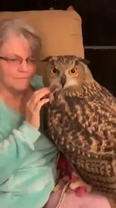 Never thought we could cuddle with an owl
