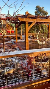 Good morning Colorado | Travel with Rupam Dewan