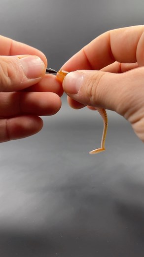 How to Rig the FS Slug weighted and weedless! 🔥 Check what is needed 👉🏻 FS Tungsten Level Spikes 👉🏻 Gamakatsu 330 offset Hook #sprofreestyle #fishingphotography #fishingislife #streetart #streetfishing #pike #hamburg #finessefishing #barschalarm #gamakatsuhooks #streetphotography #gamakatsu #gospro #angeln #fishing #barsch #barschangeln #fishinglife #hamburg⚓️ #sprofishing #fishinglife #instafish #berlin #raubfischangeln #Perch | SPRO Freestyle