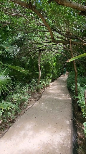 17 reactions | Nizuc Resort and Spa Hotel @nizucresort, a luxurious...