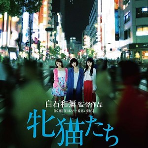 From 'Odd Obsession' to 'Daydream': Top 8 Japanese erotic films of all time