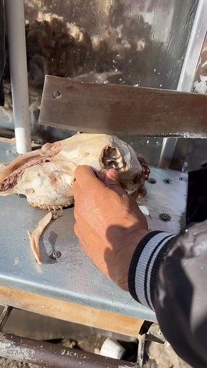 Bahattin KARSANDIK on Instagram: "Kelle kırılır #kelle #yum #tasty #steak #asmr #streetfood #lezzetseferi"