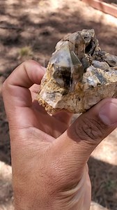 I love the overgrowth on these smokies | Colorado Geology