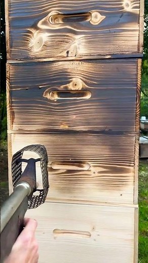 Making Bee Boxes 🐝 #beekeeping #bees #beehive #pszczoły #beekeeper #woodworking #preparation