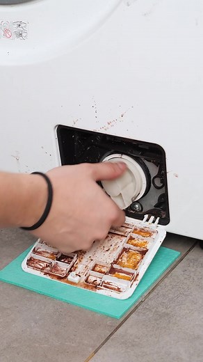 Washing Machine Cleaning Essentials | Estudio Panda