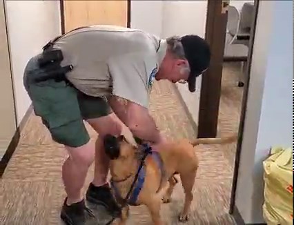 2.3K views · 199 reactions | Scooby is the Spearfish Police Department's station pet and canine ambassador. But make no mistake about who his favorite human is! There's no joy quite like the joy of a dog greeting his best friend in the whole world (in this case Animal Control Officer Beal). | Spearfish Police Department | Facebook