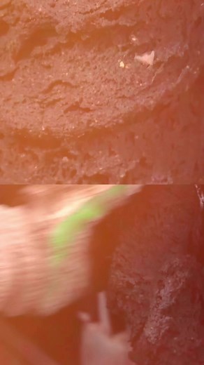 Ceci est du plastique ! #invention #innovation | The Impact Story