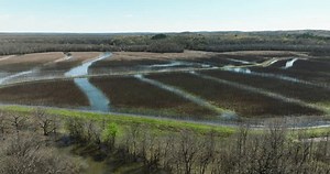 Área De Manejo De Vida Silvestre: video de stock (totalmente libre de regalías) 3475490247 | Shutterstock