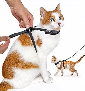 Push-Button Cat Harness for Walking, Fully Adjustable Push-Button Adjuster Anti-Flop Over Max Mobility Escape-Proof Harnesses for Cats (Small)