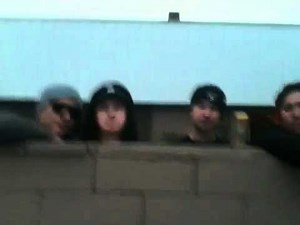 HU Calls out VML premiere of "Levitate" Digital Dog Remix