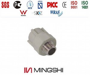 [Hot Item] PPR Fitting-Male Straight with Aenor/Acs/ Skz/ Watermark/Wras/GOST Certificate