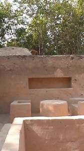 Primitive Unique Tool on Reels