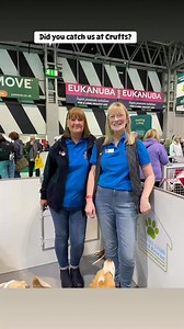 4.1K views · 65 reactions | Beagle Welfare Trustees, staff and volunteers representing BW today at Crufts Hall 5 & 3. | Beagle Welfare | Facebook