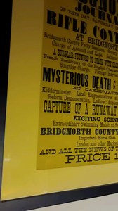 Paper Panda on Reels