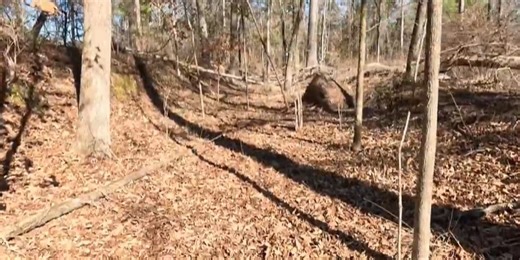 Heart of Louisiana: Stagecoach Road