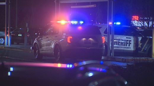 Police activity prompts gun scare at Washington Square Mall