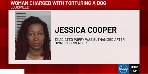 Dog owner charged with animal cruelty