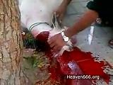 Halal Goat Slaughter