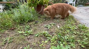 31 reactions | Pierre on Reels | Facebook