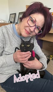Rocket came to us on deaths door back in December. Today she got adopted! This is what rescue is all about folks ❤️‍🩹 | Itty Bitty Kitty Committee