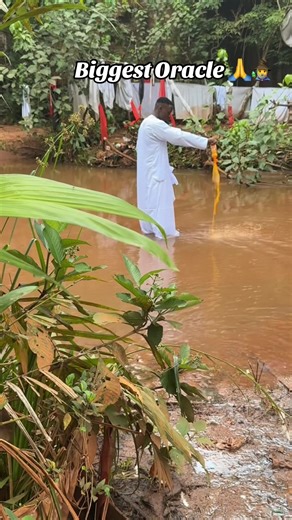 Biggest Oracle Backup account on TikTok