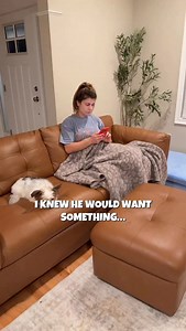 339K views · 32K reactions | I knew better 藍 Here is how to make...