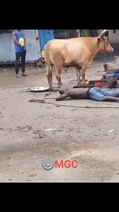 Seriously there's no easy job in life 藍 ©MGC | MGC BLOG | Facebook