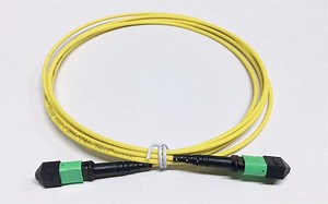 [Hot Item] 12 Fiber MTP-MTP Fibre Optic Cables Communication Patch Cord