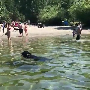 8K views · 150 reactions | Philip Mantofa on Reels | Facebook