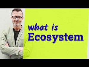 Ecosystem | Definition of ecosystem