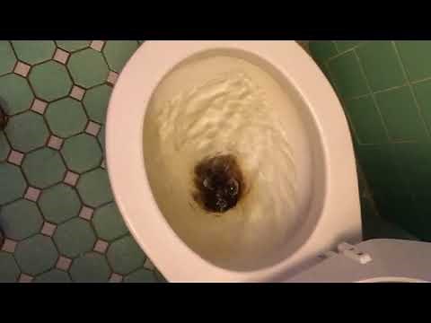 Fix Slow Flushing Toilet