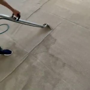 Top 5 Carpet Cleaning Methods - Best Process To Clean Carpet