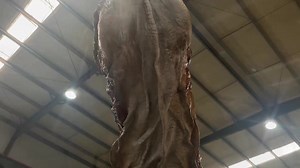 Aquele Animatronico de respeito ~Gordozilla | Godzilla, Kaijus & Dinossauros