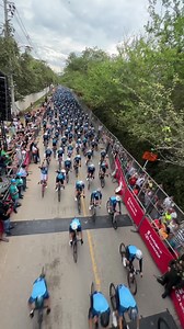 Giro de rigo! 🇨🇴 | Category Cafe