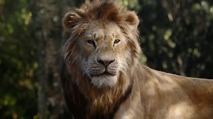 17K views · 12 reactions | The story. The music. The legend. Go...