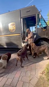 6.7K views · 136 reactions | These dogs surely like the regular visits of this UPS truck driver!   repost: UPS Dogs | Dogs & People World | Facebook