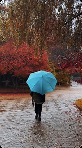 #dreamlandoasis #autumn #rain #leafs #peace #cozyatmosphere | Dreamland Oasis Apartments
