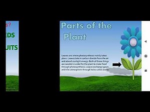 ppt on plants (full ppt)