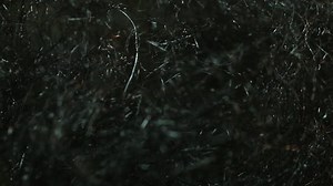 Fire Steel Wool Close-up Mac Closeup 库存影片视频（100% 免版税）26421305 | Shutterstock