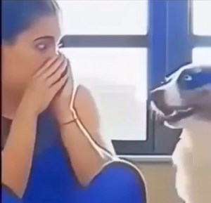 Wow Expressions ❤️ | Dog Bless You