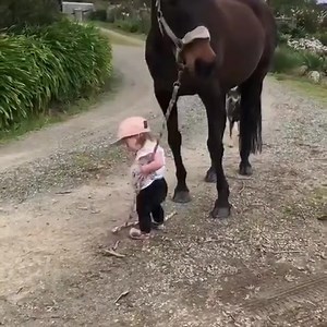 Leadership Nor Be By Size. | Miyake Story Story | Facebook